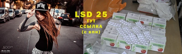 сатива Беломорск