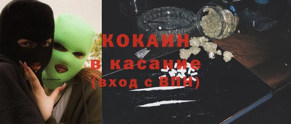 сатива Беломорск