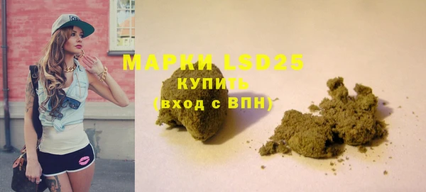 сатива Беломорск