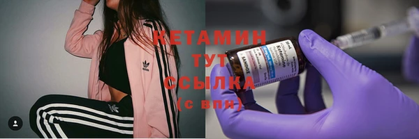 сатива Беломорск