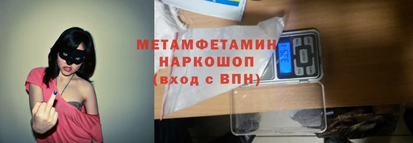 сатива Беломорск