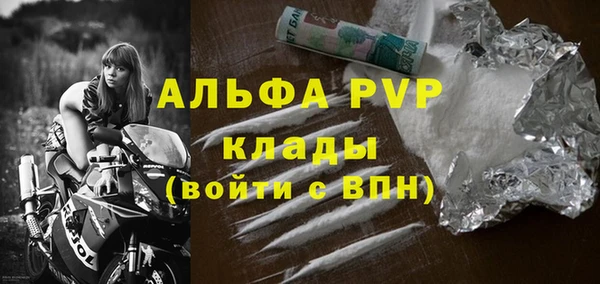 сатива Беломорск
