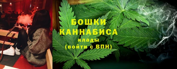 ГАЛЛЮЦИНОГЕННЫЕ ГРИБЫ Белоозёрский