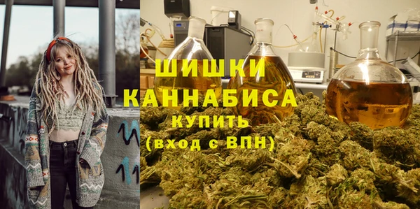 ГАЛЛЮЦИНОГЕННЫЕ ГРИБЫ Белоозёрский