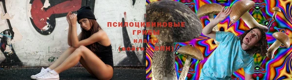 ГАЛЛЮЦИНОГЕННЫЕ ГРИБЫ Белоозёрский
