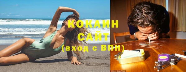 сатива Беломорск