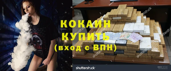 сатива Беломорск