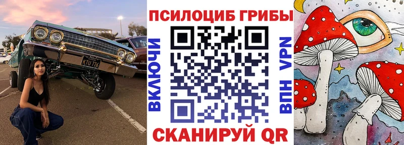 Псилоцибиновые грибы мицелий  Чишмы 